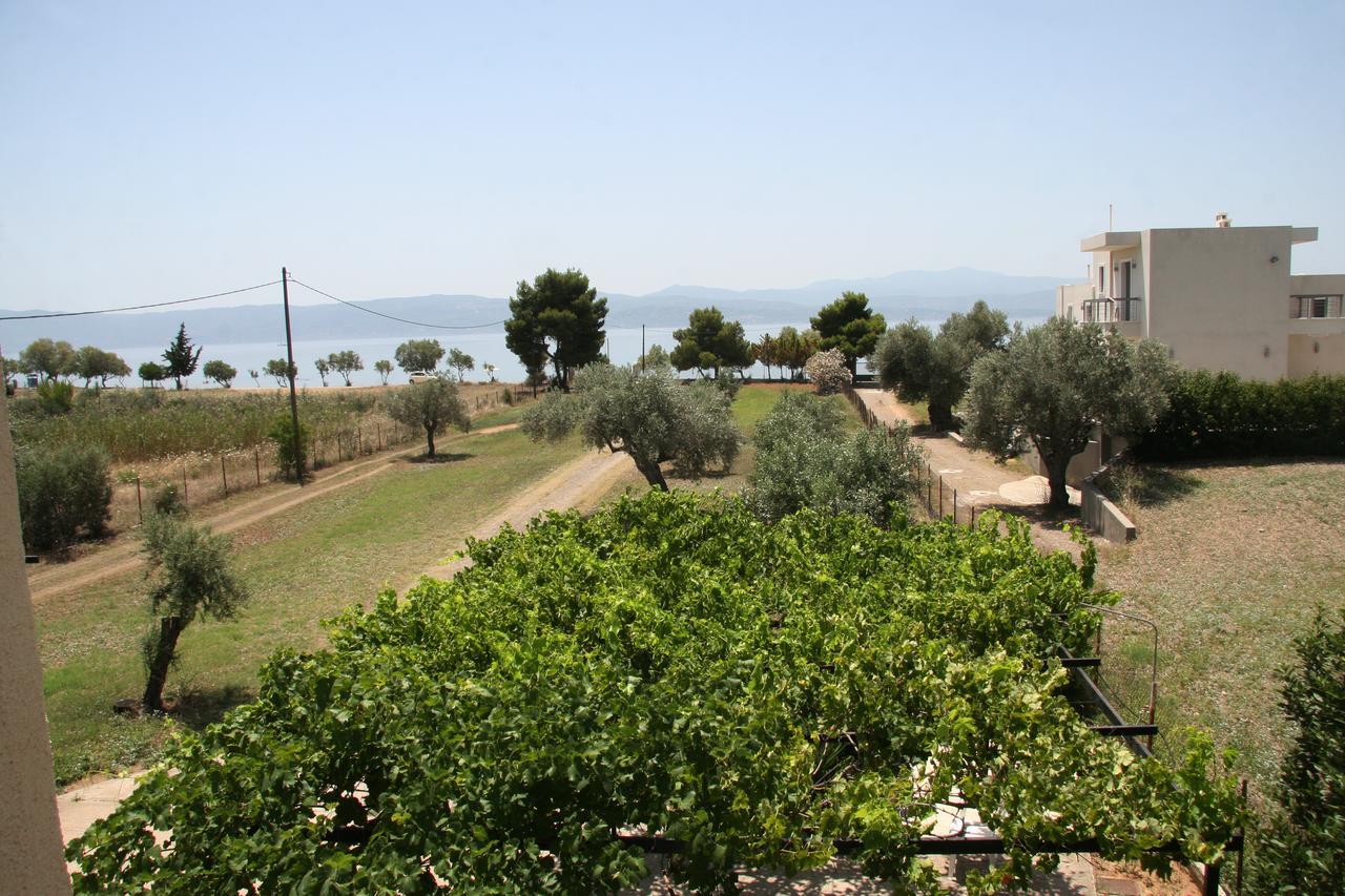 Villa Vlichos 阿马林索斯 外观 照片