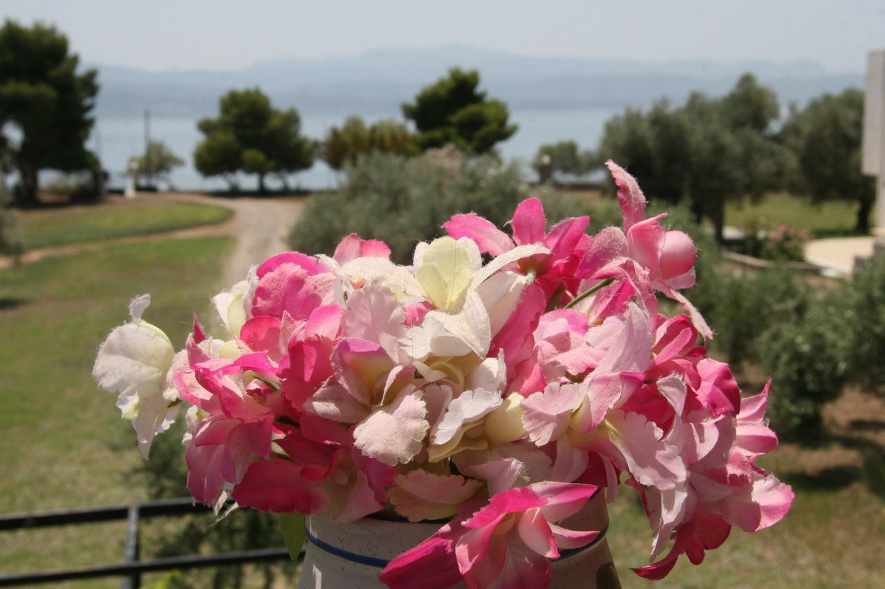 Villa Vlichos 阿马林索斯 外观 照片