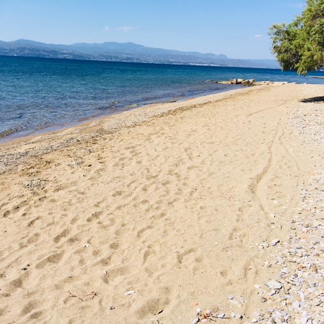 Villa Vlichos 阿马林索斯 外观 照片